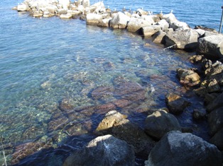 青い海
