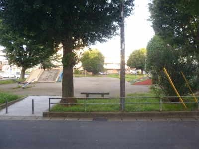 1公園の朝.JPG
