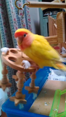 きぃーちゃんです♪