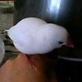 20060815_210792.jpg