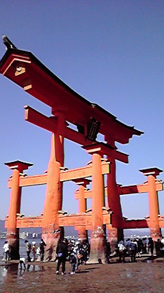 P1000380.jpg