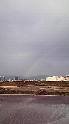 P1000411.jpg