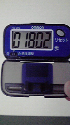 P1000463.jpg