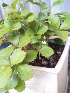 100822_095807.jpg