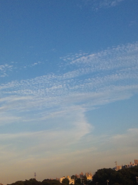 100903_173444.jpg