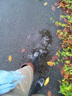 100916_142549.jpg