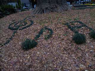 101221_140203.jpg