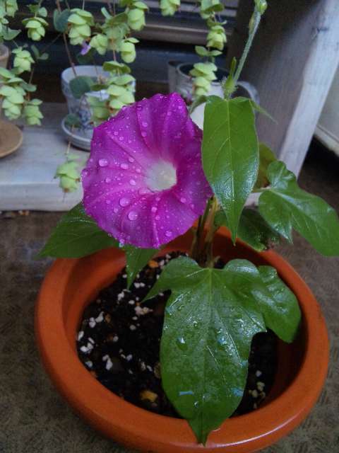 110713_080122.jpg