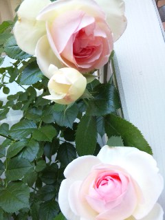 120519_112412.jpg
