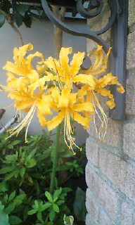 20080912125708.jpg