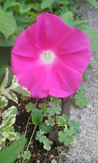 20080912125937.jpg
