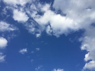 iPhoneImage.png