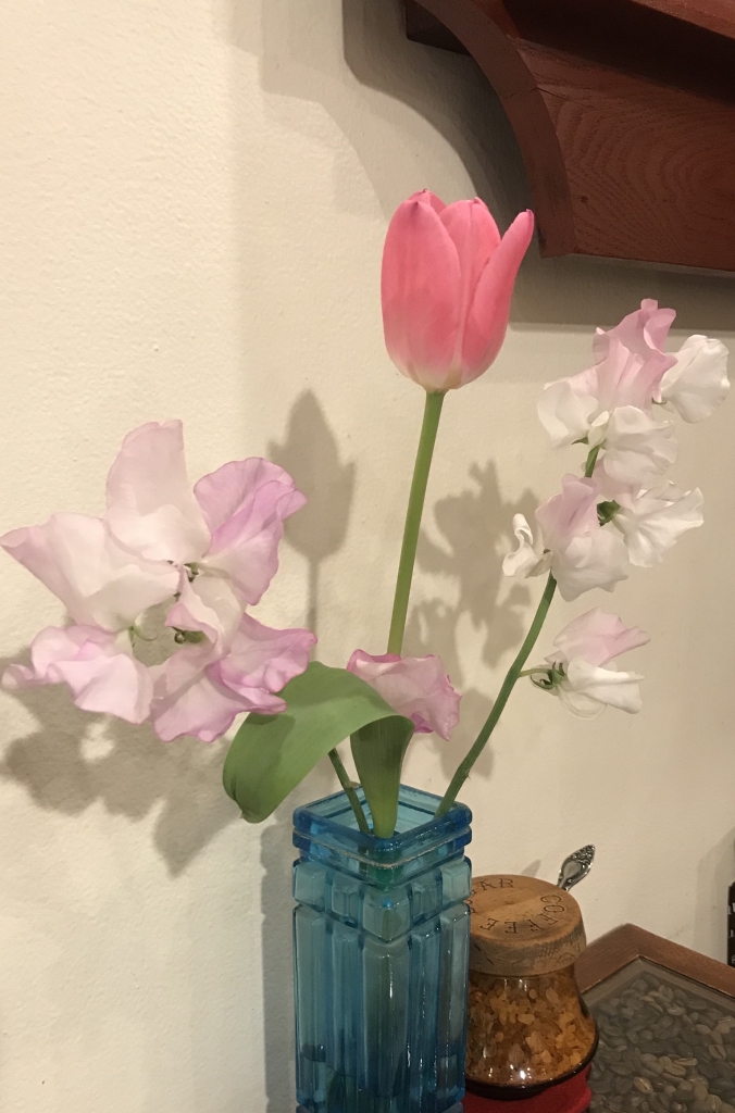 image1.jpeg