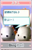 ¤¦¤µ¤Ó¤È¤ß¤«¤ó111204