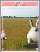 ¤ß¤«¤ó¤È¤«¤Î¤à06112303