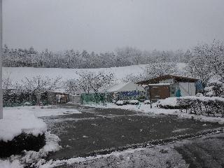 雪のセンター.jpg