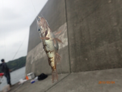 20150516_062431.jpg