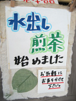 水出し煎茶 始めました