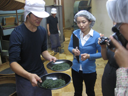 和田長茶師・小泉さんの、ふるいによる仕分けの説明