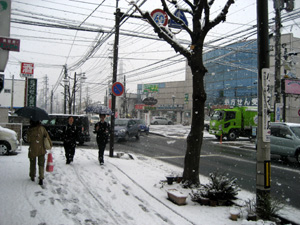 春の雪のなかの通学・出勤