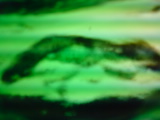 080904_0549~01_0001_0001.jpg