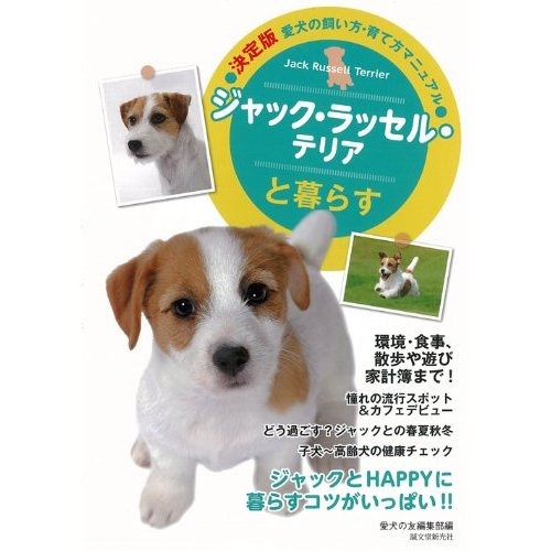 ラッセル 子犬 ください もらって テリア ジャック