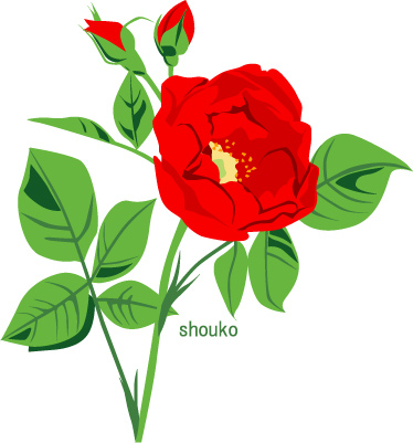 バラの花のイラスト 無料素材 フリー画像 花のイラスト Jpg