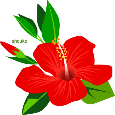 ハイビスカスの花の無料イラスト フリー素材 夏の花 Shoukoyamada イラストブログ