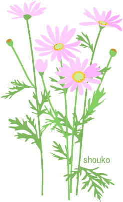 マーガレットの花 無料イラスト素材 Shoukoyamada イラストブログ