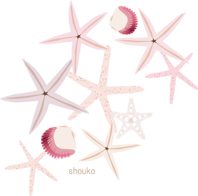 貝殻のイラスト 夏の海 無料イラスト フリー素材 Shoukoyamada イラストブログ