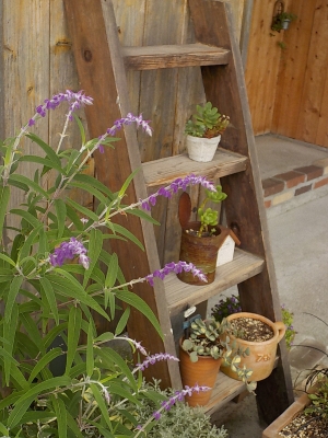 DSCN0153.JPG