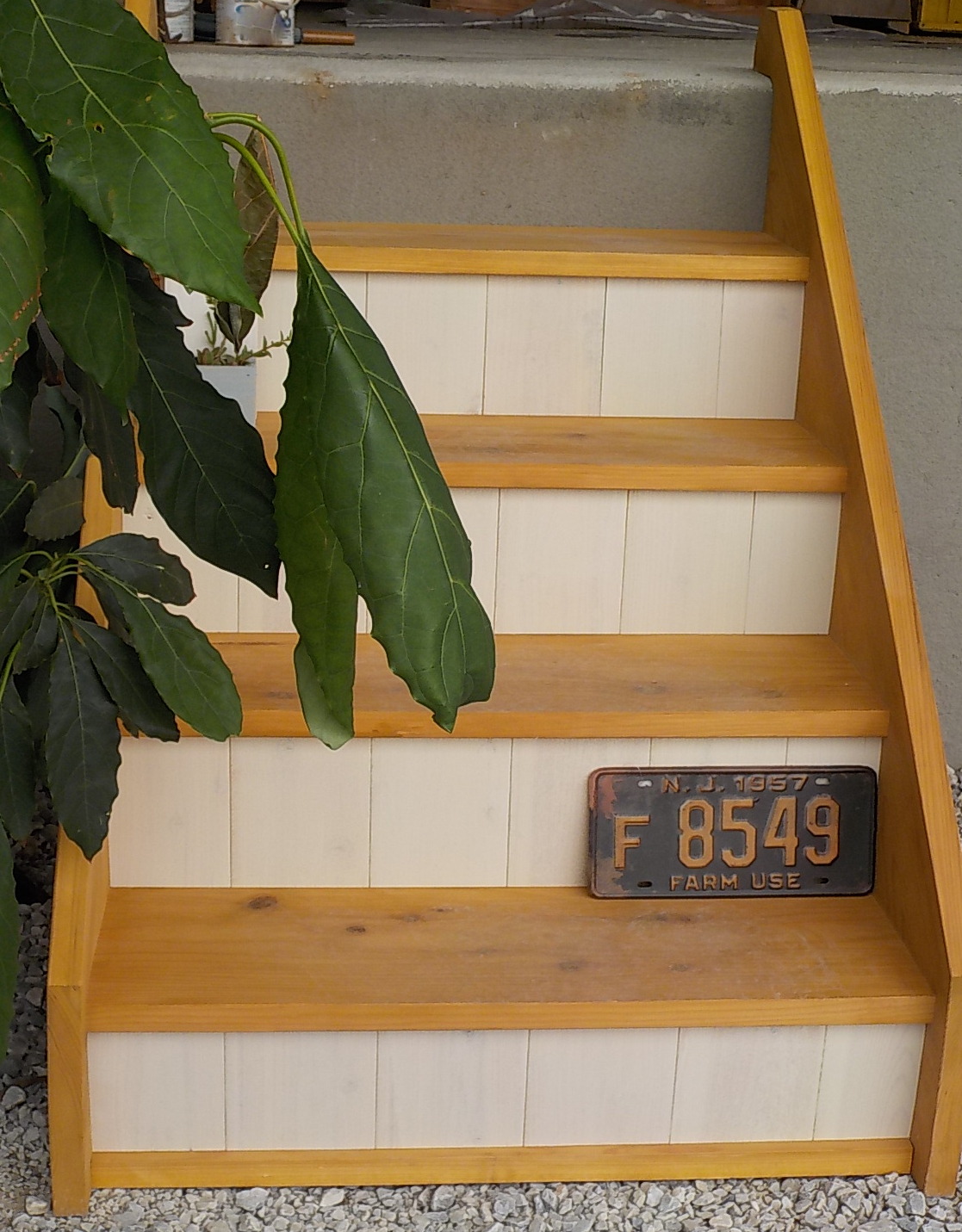 DSCN0154.JPG