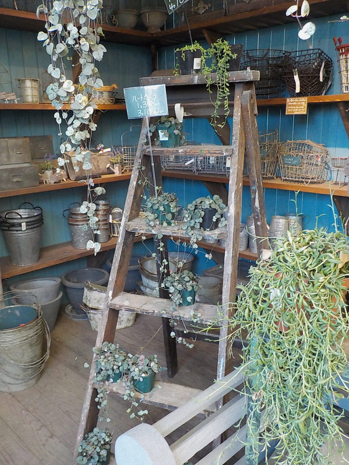 DSCN2909.JPG