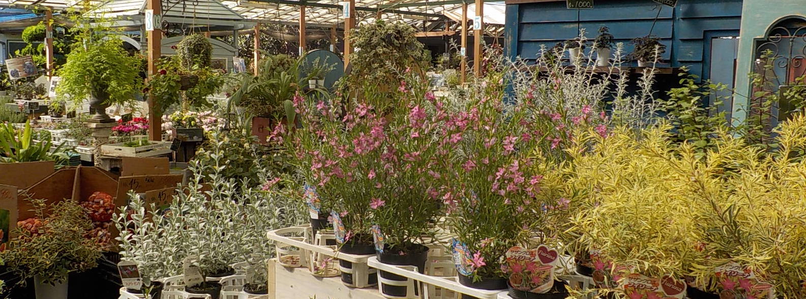 DSCN2910.JPG