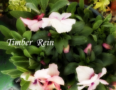 DSCN7558.JPG