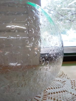 DSCN8819.JPG