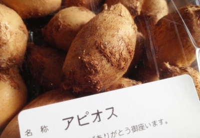 アピオス.jpg