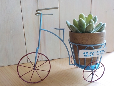 DSCN0819.JPG