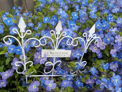 DSCN0822.JPG