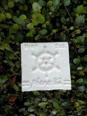 DSCN0838.JPG
