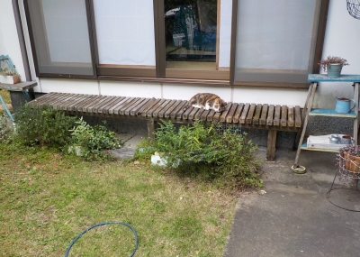 DSCN4351.JPG