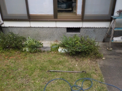 DSCN4352.JPG