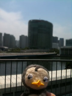 20110708.JPG