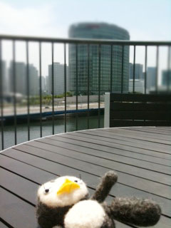 20110708_3.JPG