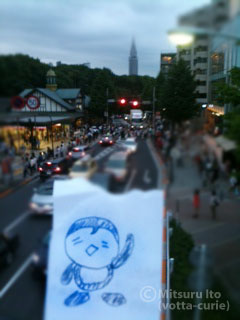 20110724.JPG