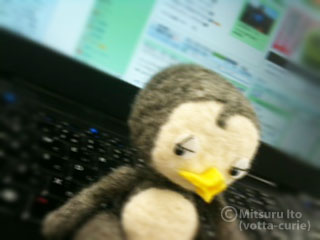 20110804_8.JPG