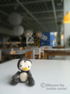 20110806_4.JPG