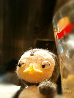 20110816_9.JPG