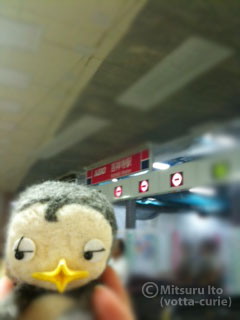 20110816.JPG