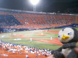 20110907_2.JPG